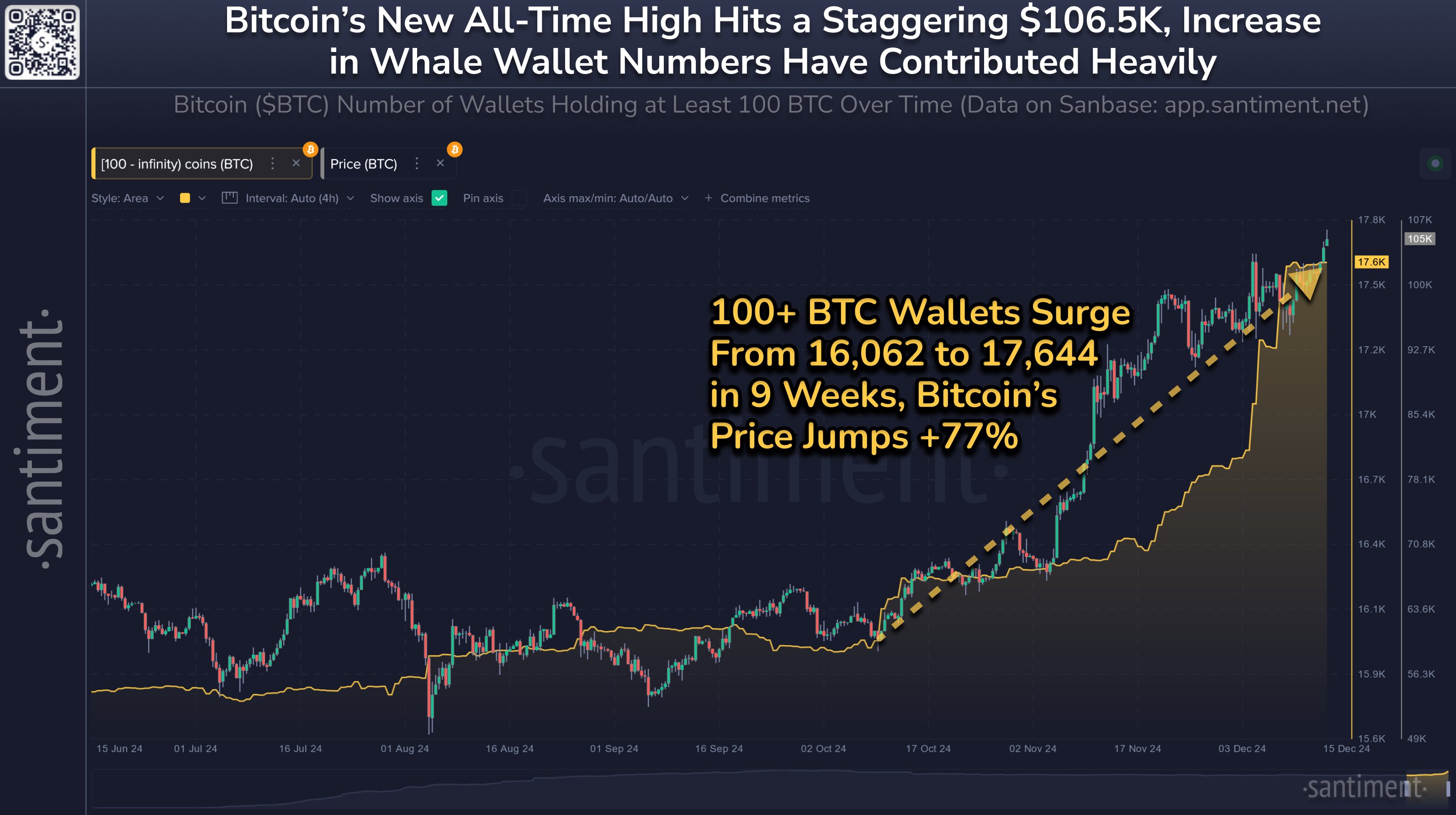 Bitcoin Bull Run Continues As Shark & Whale Wallets See 10% Jump