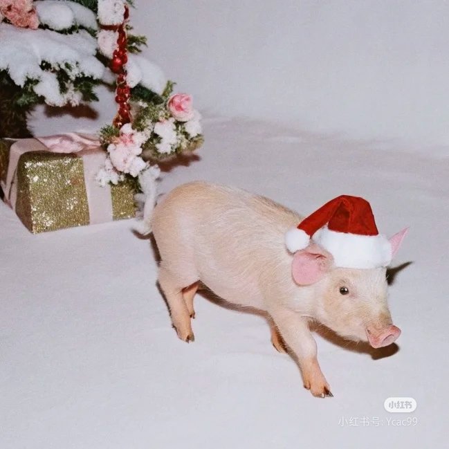 Xmas party 🎄🧑‍🎄