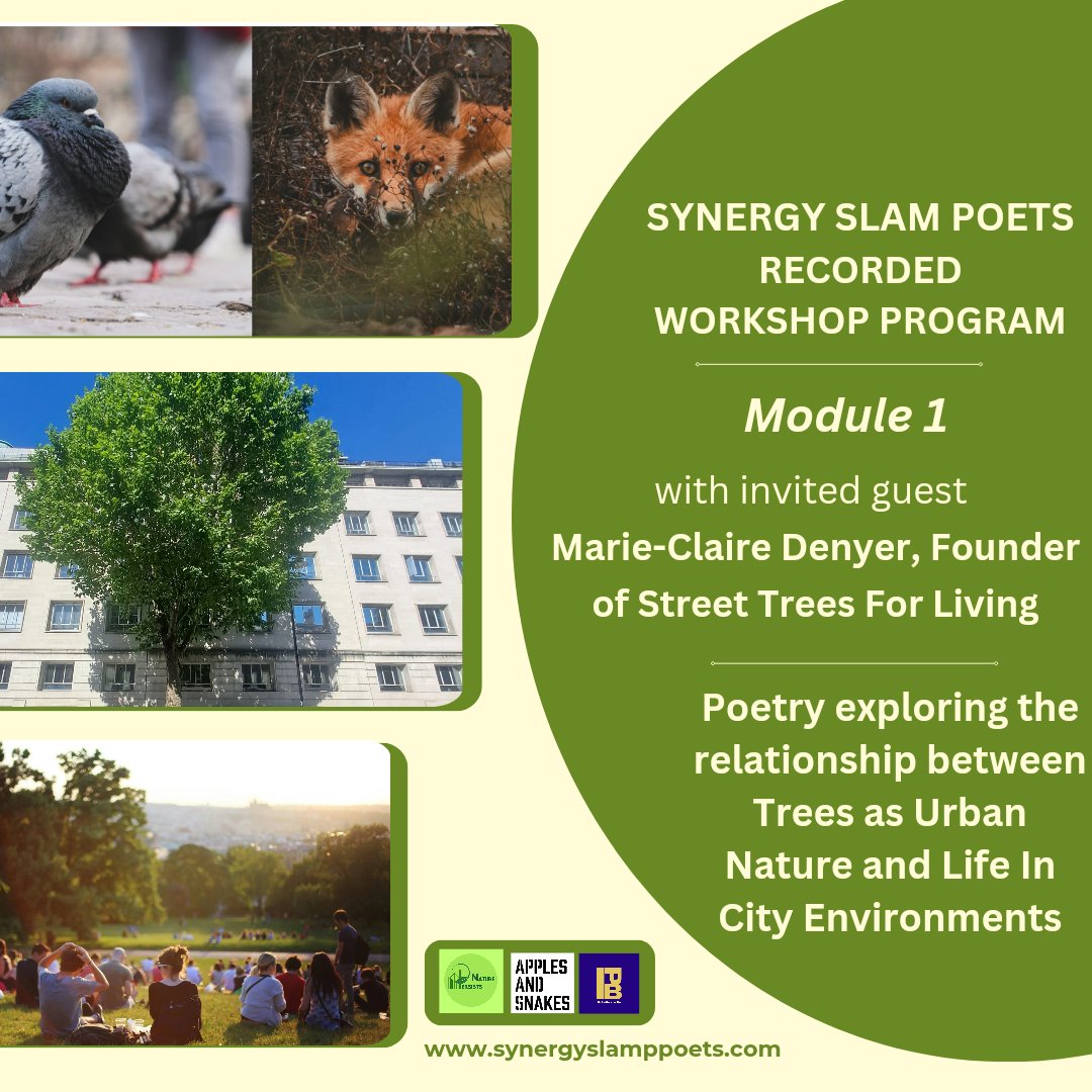 Synergy Slam Poets tweet media