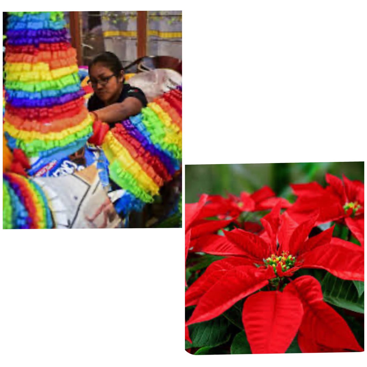 Mrs. Lopez tweet media