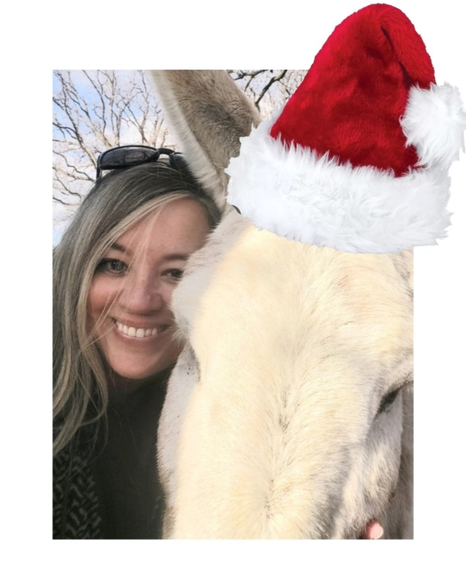 This is my mom,  Sara!!
She loves me so much more than anyone has ever loved me before!!
She does everything she can to make my life the best it can be.
I just want to make her life as beautiful as she makes my life!🎄 🎁 

#DonkeyDadSearch #ChristmasWish #LookingForLove