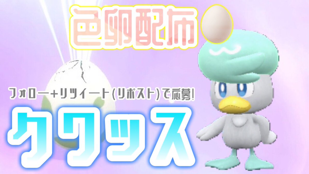ショルト(k.pr0)👏 tweet media
