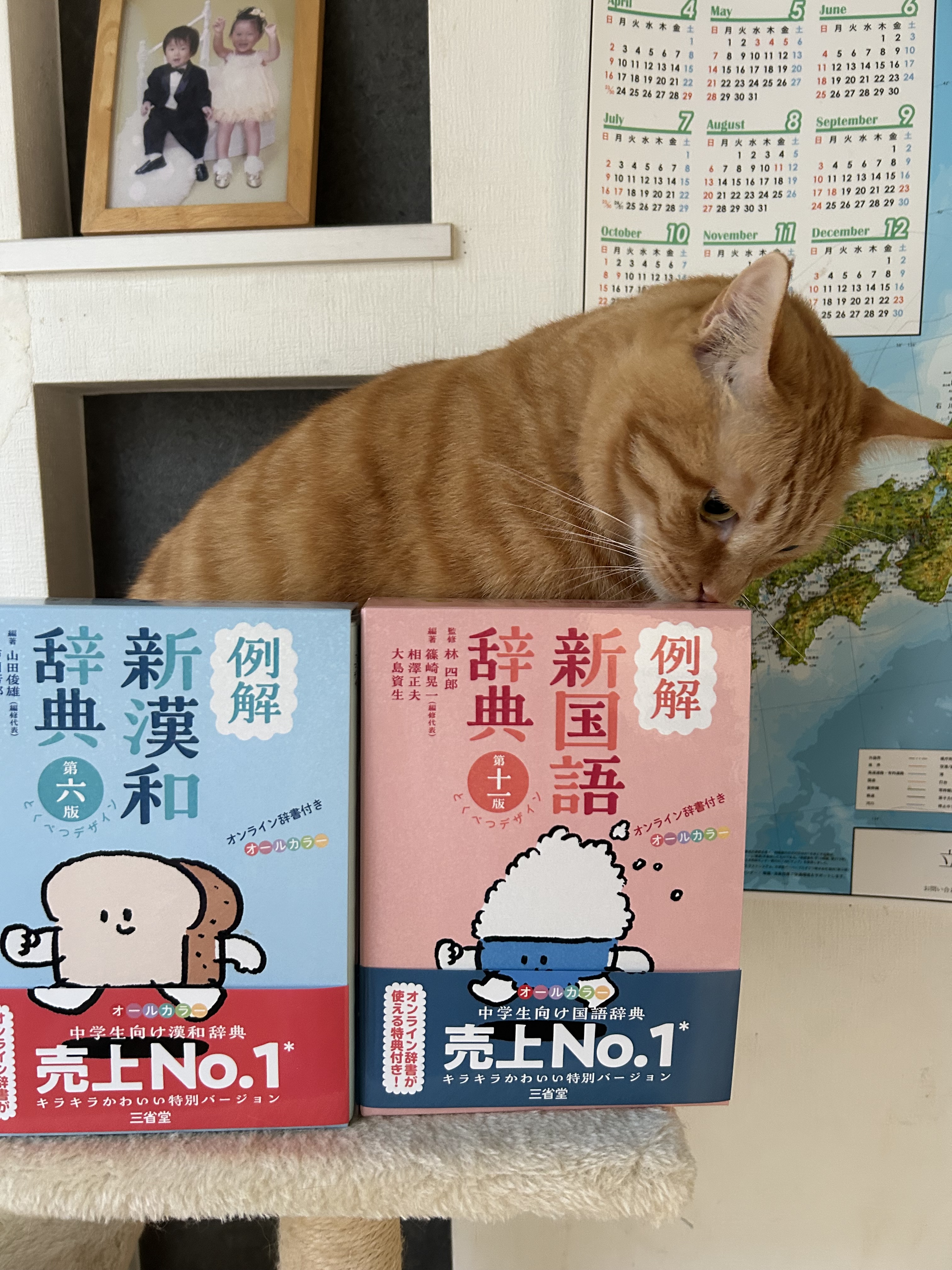 三省堂辞書出版部 on X: 三省堂辞書出版部 on X: