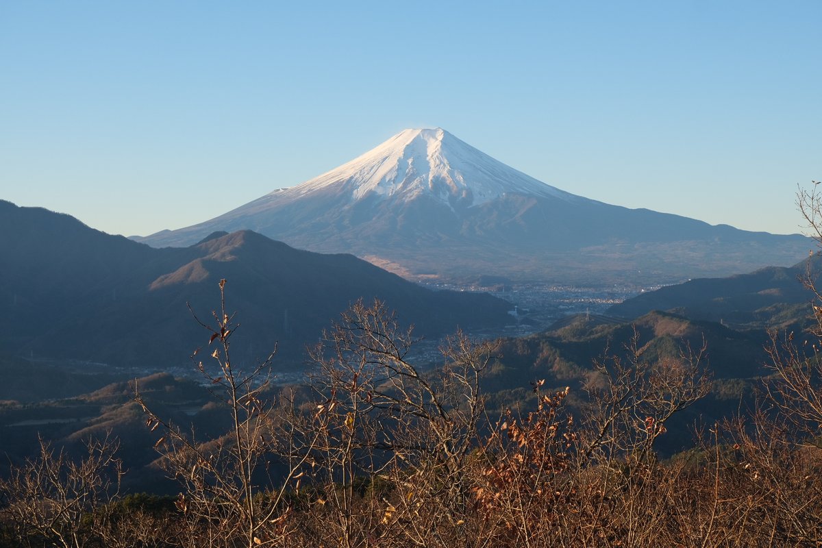 昨日は、痛めている膝の様子を伺いつつ、ランニングは控え、登山。JR中央線で行ける、秀麗富嶽十二景の高川山と岩殿山をはしご。
天気が良く、きれいな富士山の写真撮れました。