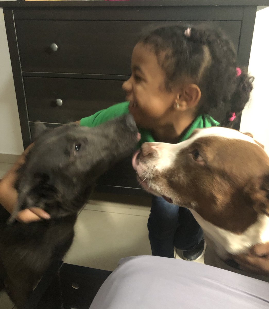 Nash_Sanz's tweet photo. Este amor, no se repite. Pero se queda en mi memoria para siempre. #Hannah #Joy #Nashla https://t.co/Ksi6TzeIRg