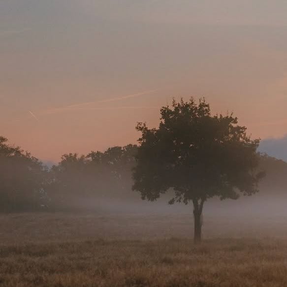 Silenci (@silenciiii) on Twitter photo 