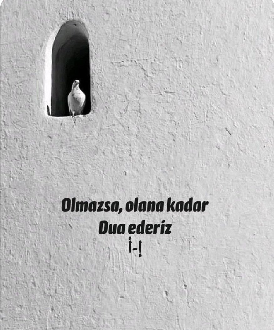BalSezgen's tweet photo. #Olmazsa,olana kadar Dua ederiz 🤲 https://t.co/VMSkYBiwy0