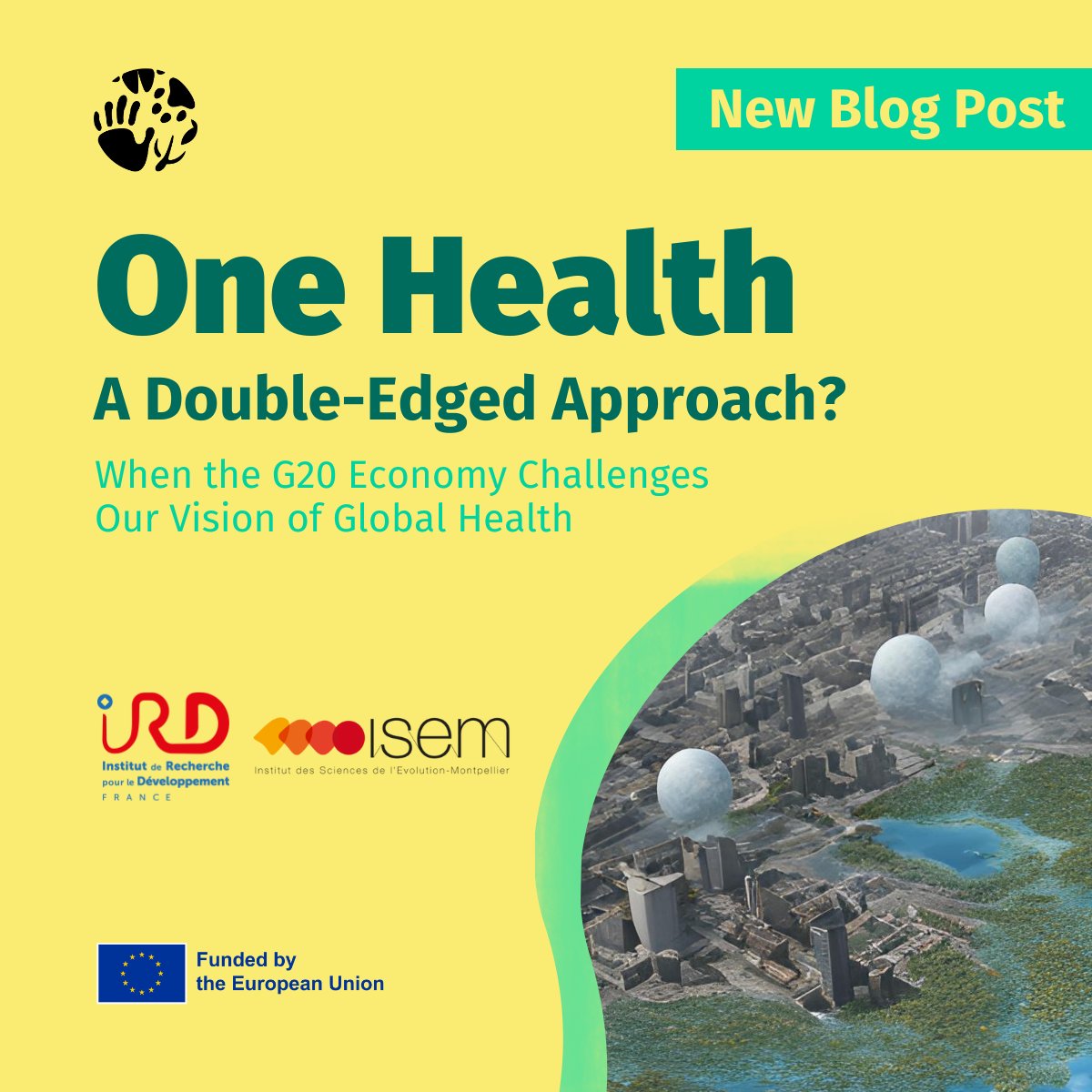📢 Marine Combe &amp; Rodolphe E. Gozlan from <a href="/ird_fr/">IRD.fr</a> together with <a href="/isemevol/">isem</a> explore the One Health &amp; Blue Marble Health connection in G20 economies. 

Discover how biodiversity, poverty, &amp; urbanization shape health risks. 

🌍 Read more: bit.ly/4fjbecI

#OneHealth