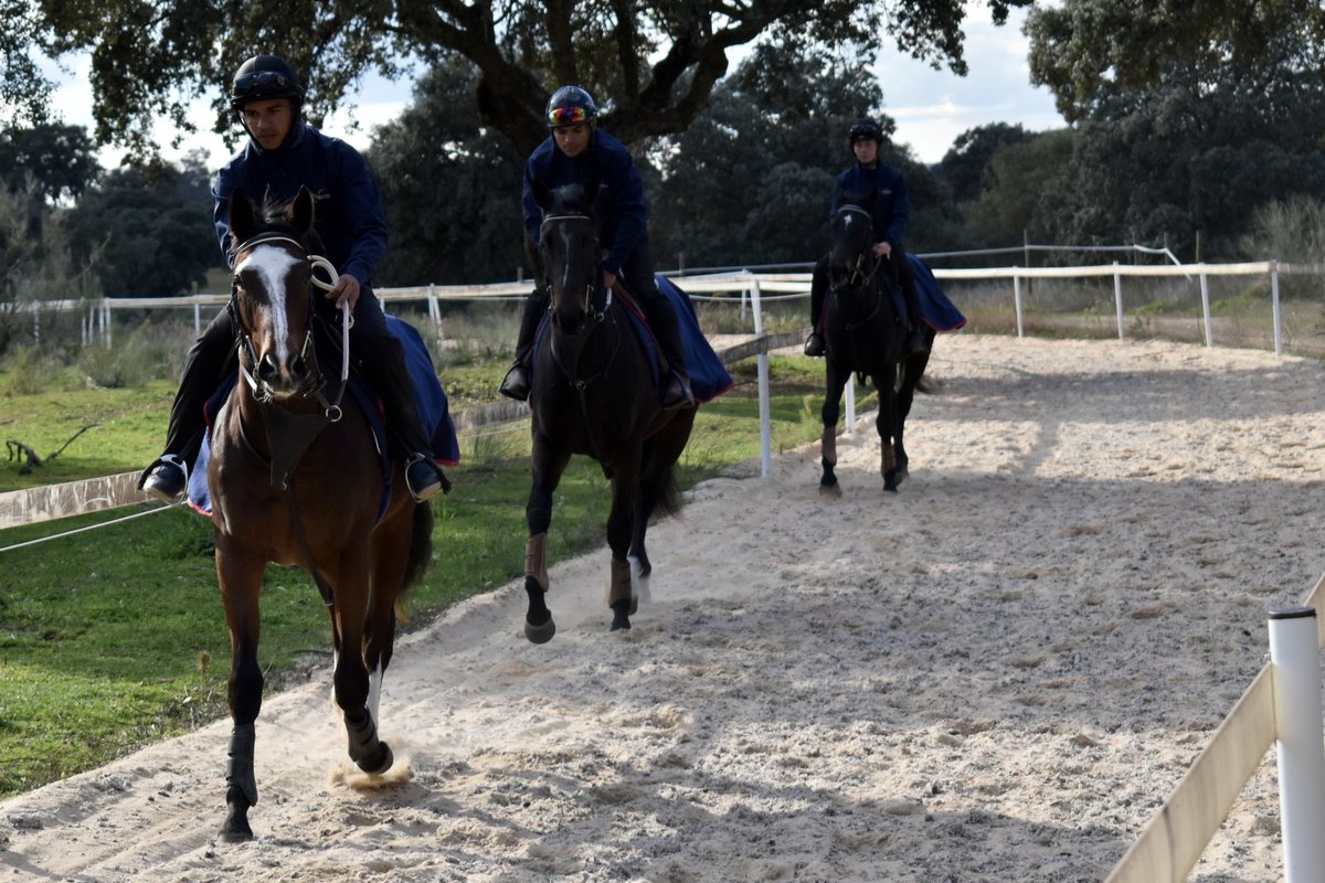 Cuarta semana de pre-training ✔️

Los 12 potros que llegaron en noviembre para iniciar su proceso de doma y pre-training cumplieron su segunda semana en la pista como auténticos profesionales

Cariño, esfuerzo y trabajo para formar campeones 🍀

#YeguadaAgrado