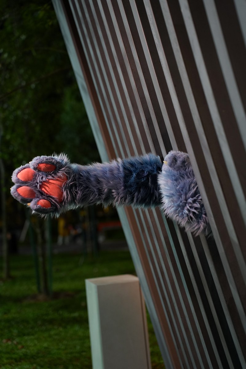 back to the prison ! bad dragon 😏