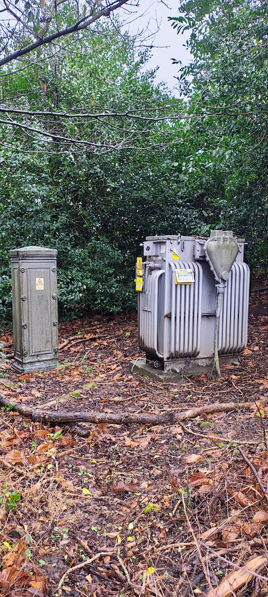 ChurtLife's tweet photo. Churt Advent Quiz Day 16🎅🌲

Where in Churt would you find this? https://t.co/CSOrT3ZnSy
