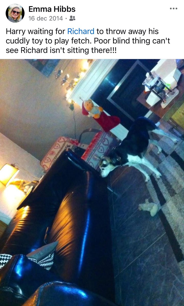 Throwback to when our dog Harry was blind and didn't realise Richard wasn't there to throw away his cuddly toy to play fetch.