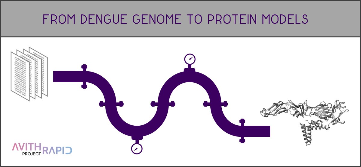 avithrapid's tweet photo. 🚨 AVITHRAPID publishes critical data for drug development against #dengue!
#AVITHRAPID modeled proteins of all 4 DENV serotypes with SWISSMODEL, now available to accelerate new therapies.
📂 https://t.co/RRk8mr00go
#Dengue #AVITHRAPID #DrugDevelopment #OpenScience #Innovation https://t.co/1ZHgL4M02w