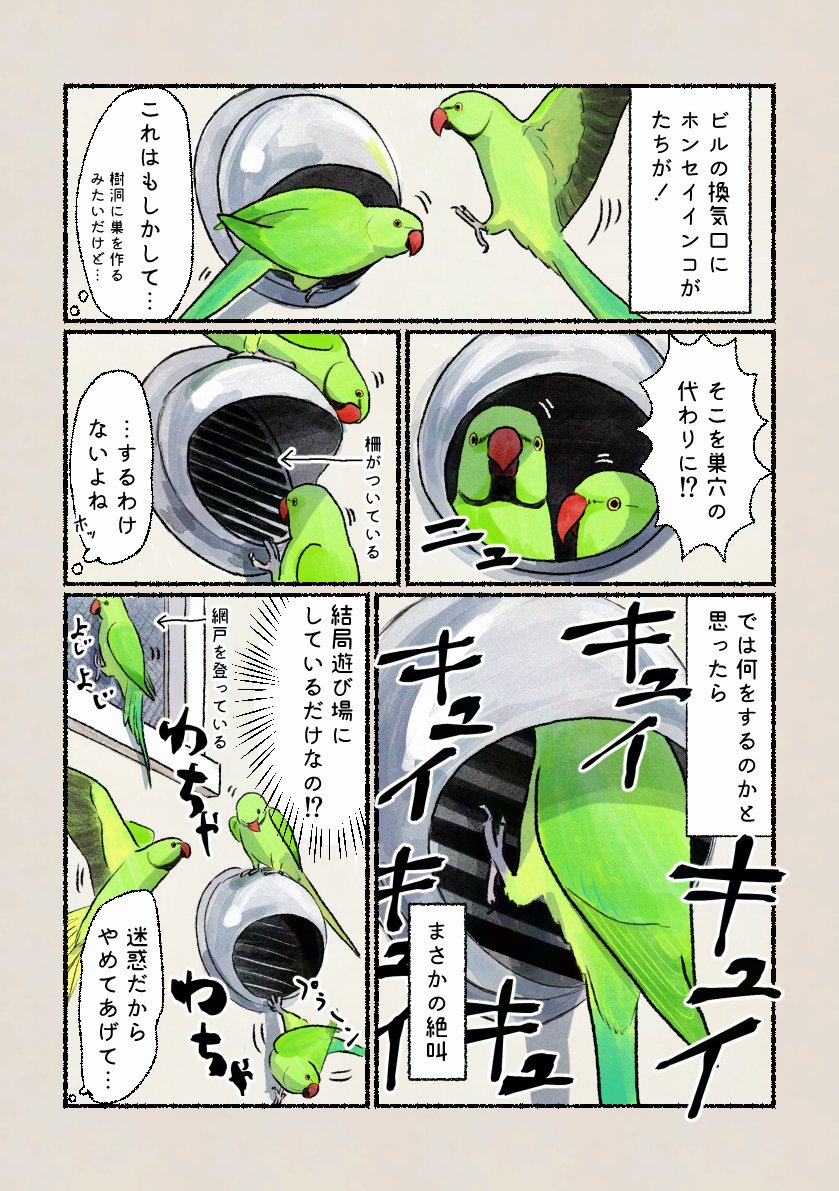 「新しい遊び場?」
数日間ここでの遊びがブームになっていました。反響音を楽しんでいるのでしょうか。 