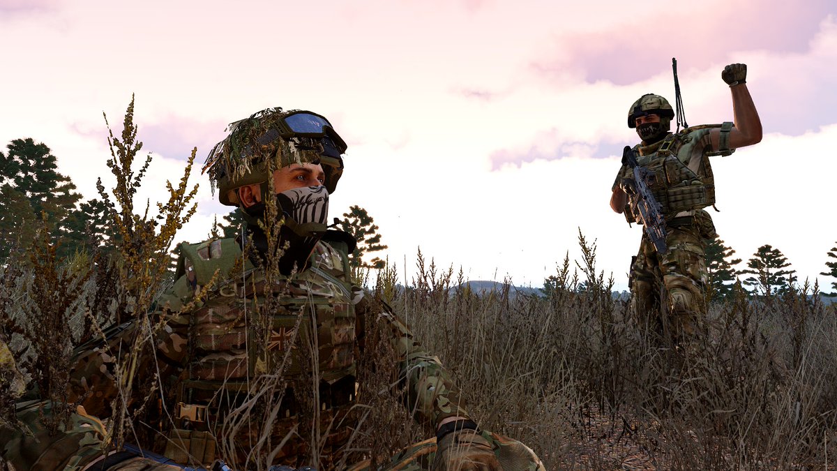 TAW | Arma Division tweet media