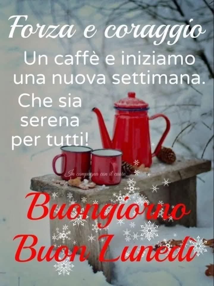 RITABIANCHi56 tweet media