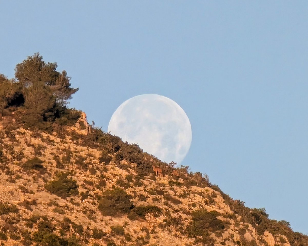 La lluna per les Seldetes, i un arruí.