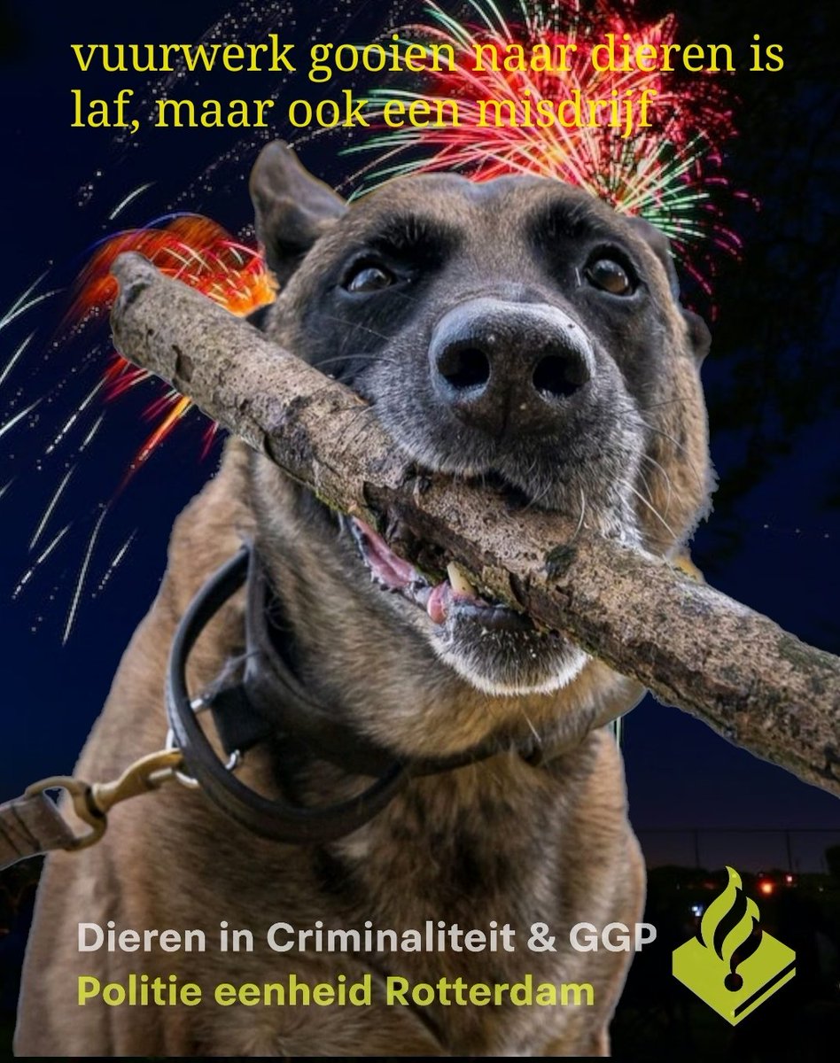 Vandaag starten diverse vuurwerkcampagnes. 
Wij posten er ook een. Een waarschuwing! Het gebruiken van vuurwerk tegen dieren is een misdrijf. Deel deze post.