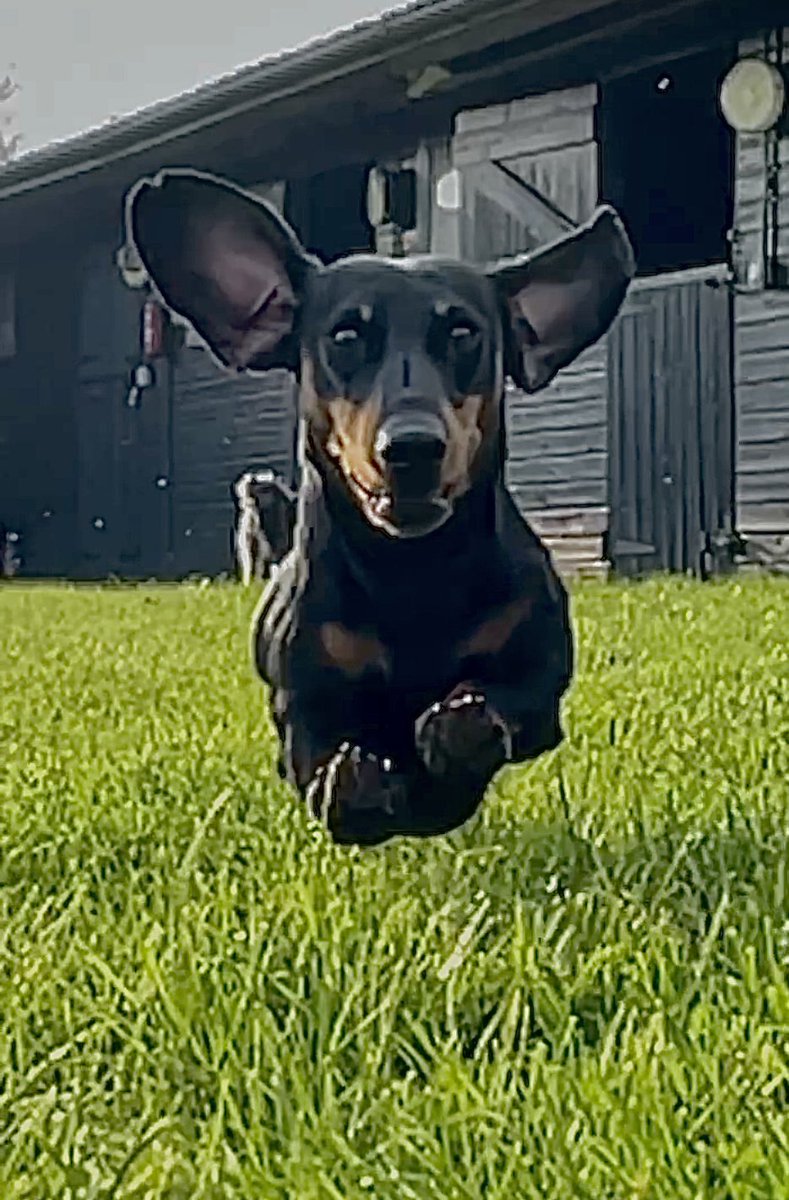 jackey_l's tweet photo. @jk_rowling Mr Chumley Warner ❤️ https://t.co/ClNFROOdv1