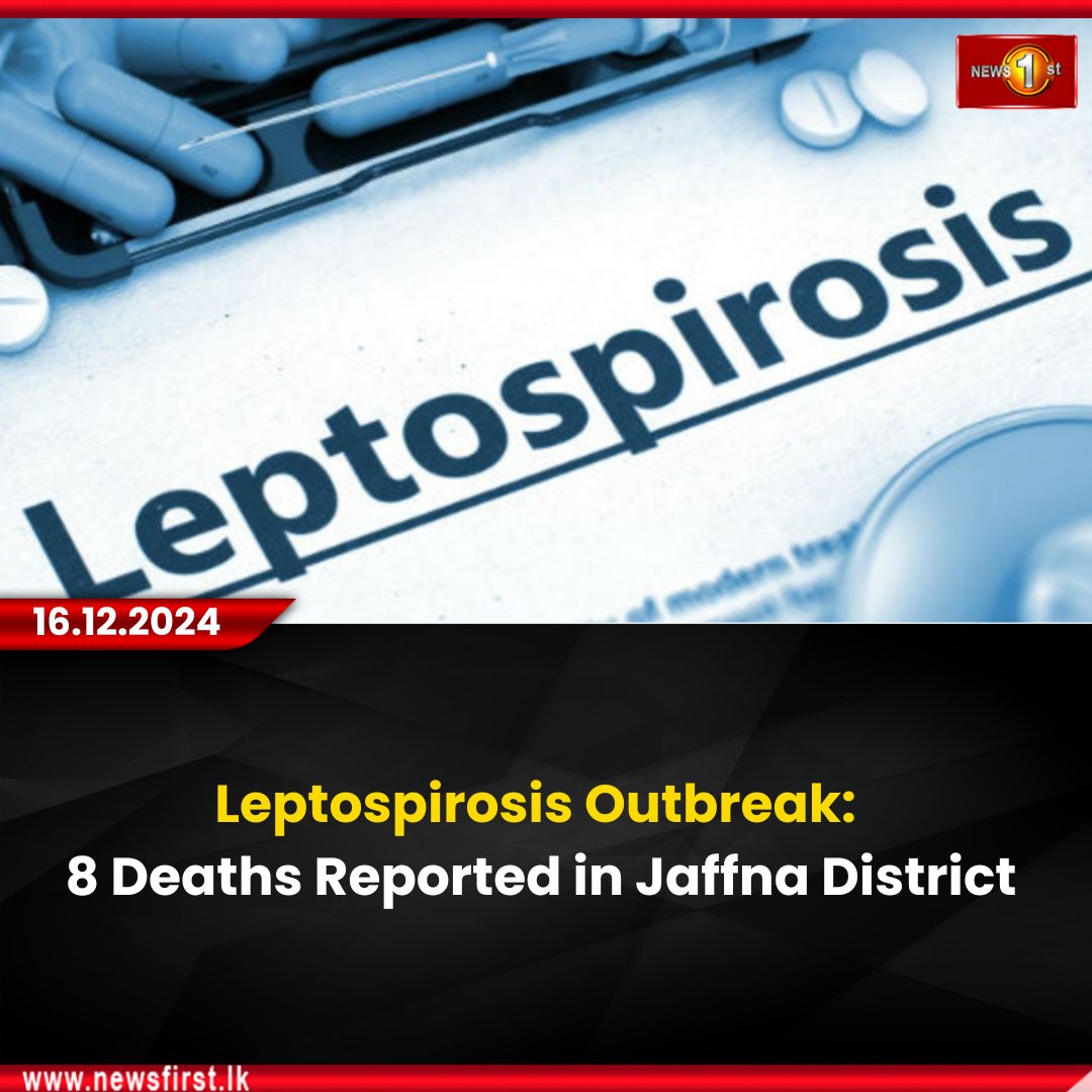 NewsfirstSL's tweet photo. Leptospirosis Outbreak: 8 Deaths Reported in Jaffna District

Details:https://t.co/3pMKM4qAsG

#News1st #NewsFirst #NewsFirstEnglish #SriLanka #lka #LatestNews #leptospirosis #8deaths #Jaffna https://t.co/maRYAMXgEq