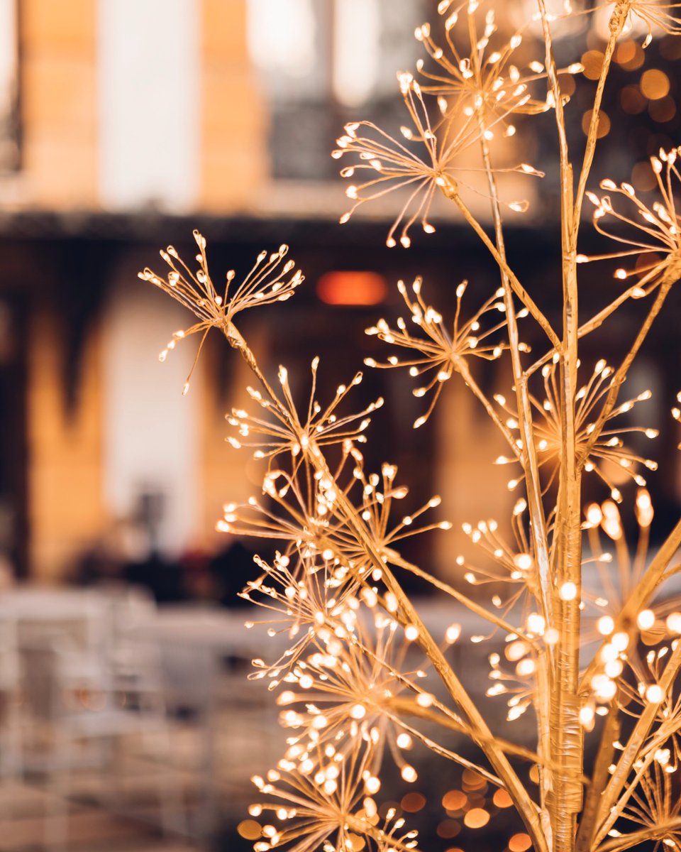 This holiday season, savor the magic at Zohos Restaurant!
The festive spirit is alive as every meal brings people together and delights taste buds🍷 

#ElectraExperience #PureGreekHospitality #AthensGreece #CulinaryExperience