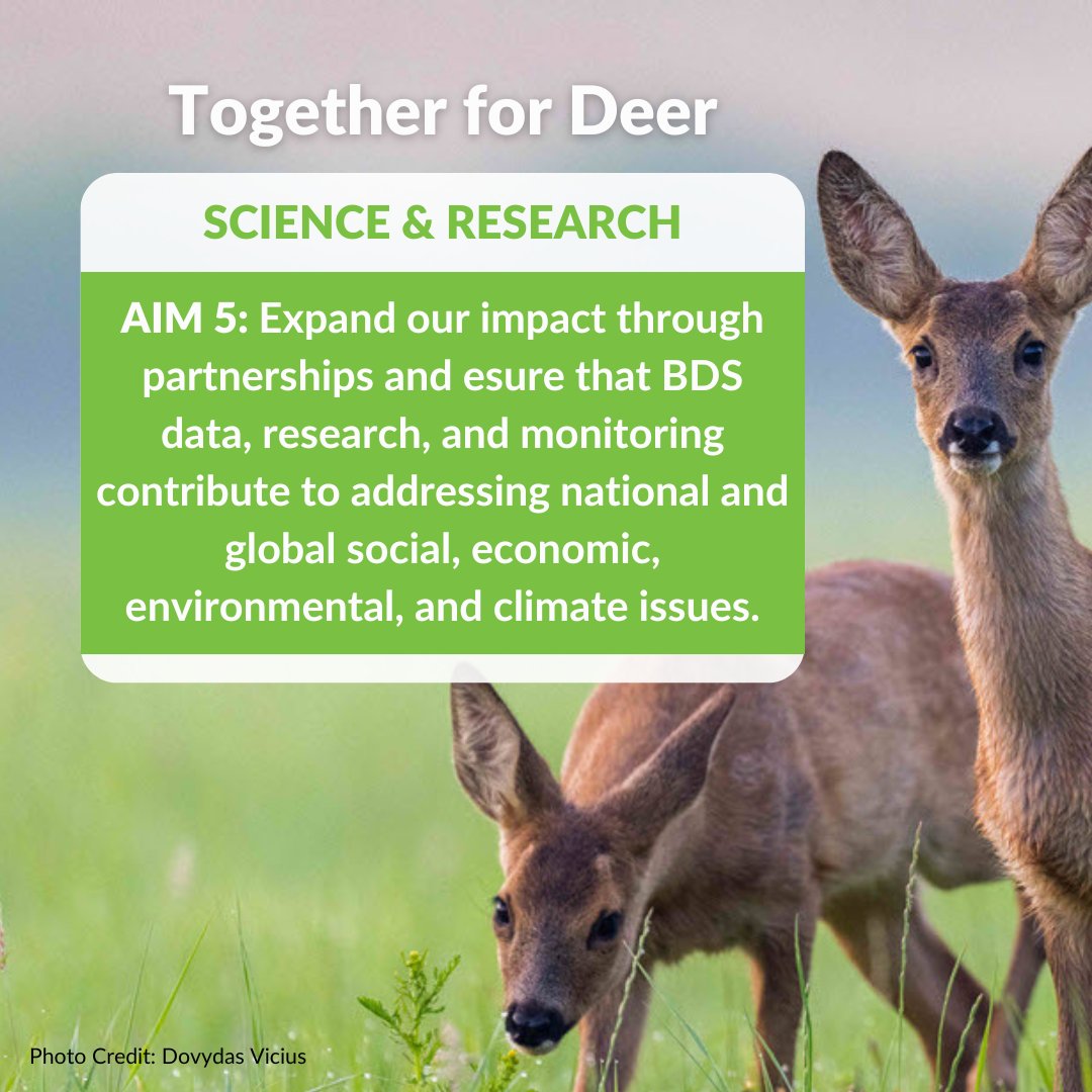 BritishDeerSoc's tweet photo. We're ensuring our research contributes to addressing national and global social, economic, environmental, and climate issues. Partnerships make us stronger! 

Collaborate with us: https://t.co/TogWYr7pwY

#TogetherForDeer #DeerResearch #GlobalImpact

Photo credit: D. Vicius https://t.co/HSWRuUzq0W