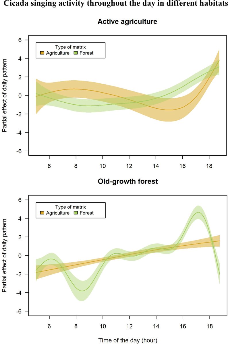 Insect Conservation and Diversity (@insectdiversity) on Twitter photo New #OpenAccess research investigated the effects of land-use and agricultural matrices on the acoustic behavior of cicadas in the highly biodiverse Chocó lowland tropical forest of Ecuador, using Passive Acoustic Monitoring
doi.org/10.1111/icad.1…
<a href="/RoyEntSoc/">Royal Entomological Society</a> <a href="/WileyEcolEvol/">Wiley Ecology & Evolution</a> New #OpenAccess research investigated the effects of land-use and agricultural matrices on the acoustic behavior of cicadas in the highly biodiverse Chocó lowland tropical forest of Ecuador, using Passive Acoustic Monitoring
doi.org/10.1111/icad.1…
<a href="/RoyEntSoc/">Royal Entomological Society</a> <a href="/WileyEcolEvol/">Wiley Ecology & Evolution</a>