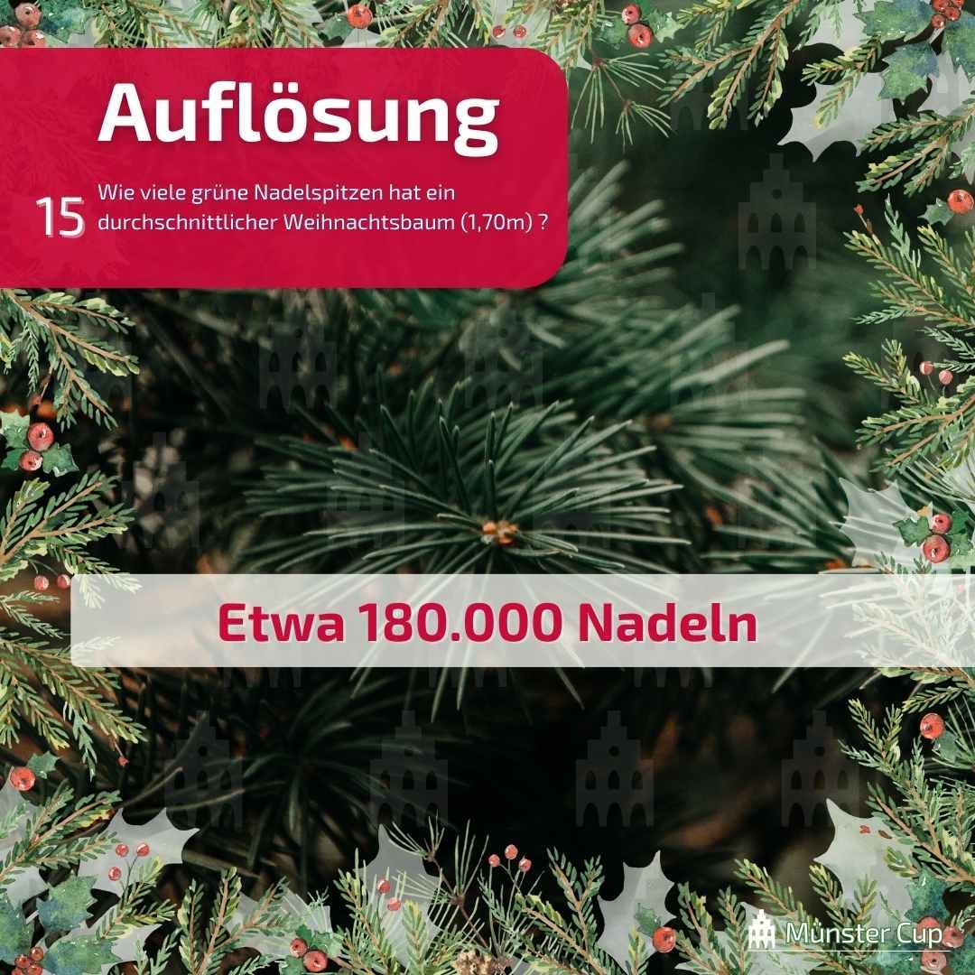 MuensterQuiz's tweet photo. 🎄 Weißt du, 𝚠𝚒𝚎 𝚟𝚒𝚎𝚕 𝙿𝚛𝚘𝚣𝚎𝚗𝚝 𝙰𝚕𝚔𝚘𝚑𝚘𝚕 #𝙶𝚕ü𝚑𝚠𝚎𝚒𝚗 𝚒𝚗 #𝙳𝚎𝚞𝚝𝚜𝚌𝚑𝚕𝚊𝚗𝚍 𝚖𝚒𝚗𝚍𝚎𝚜𝚝𝚎𝚗𝚜 𝚎𝚗𝚝𝚑𝚊𝚕𝚝𝚎𝚗 𝚖�����𝚜？A) 5,5%  B) 7%  C) 8,5%    🍷❄️ Tipp in den Kommentaren ab ! 
#MünsterCup #MünsterQuiz #Münster #Weihnachtsmarkt #Advent https://t.co/0B8IMtCrZV