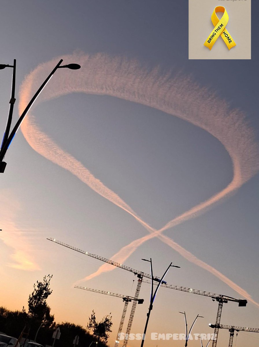 SissiEmperatriz 🇮🇱 tweet media