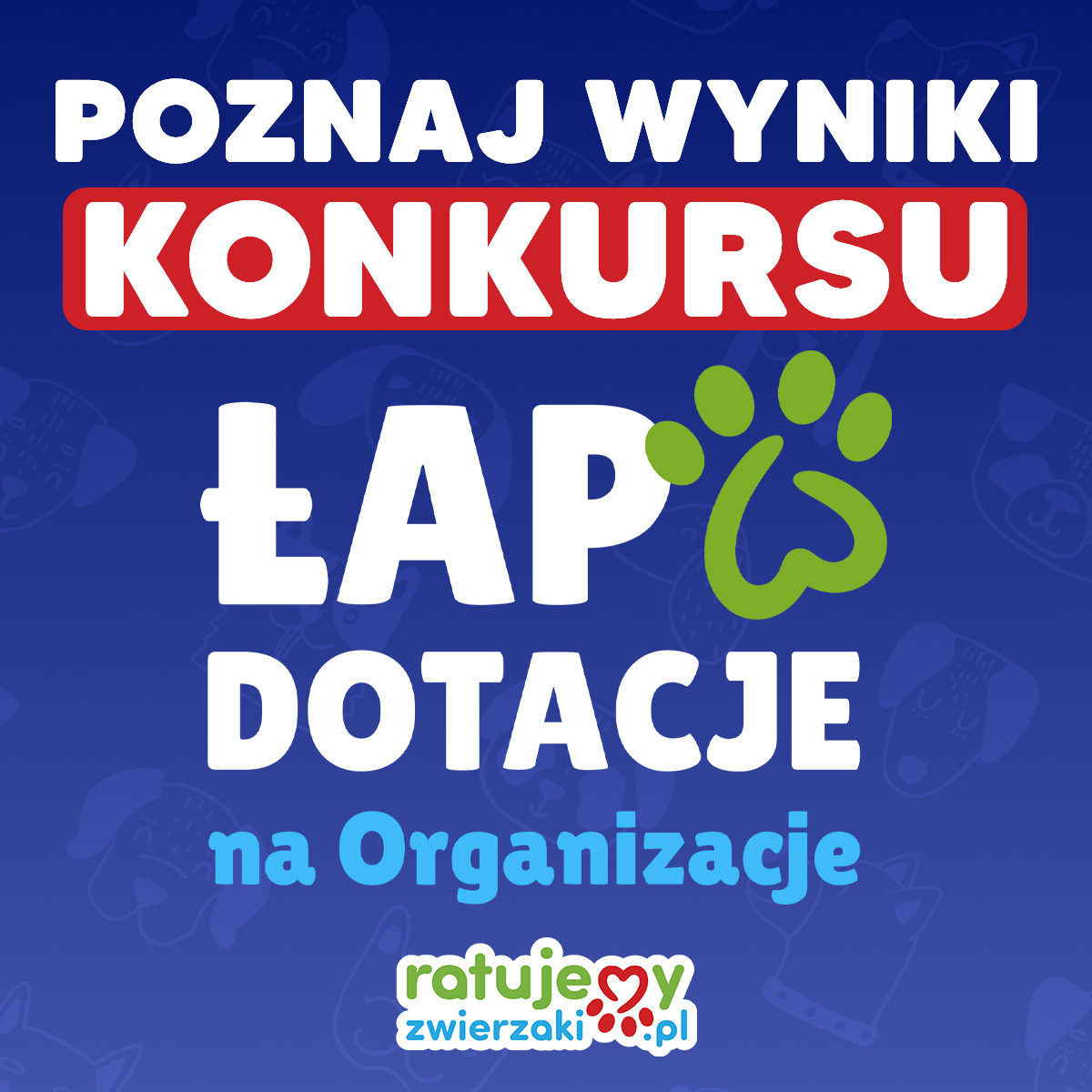 Kochani, mamy dla Was ogłoszenie wyników konkursu "Ł𝗮𝗽 𝗱𝗼𝘁𝗮𝗰𝗷𝗲 𝗻𝗮 𝗢𝗿𝗴𝗮𝗻𝗶𝘇𝗮𝗰𝗷𝗲!" 🏆 W tym roku nagradzamy aż 19 Organizacji dotacjami o łącznej puli niemal 𝟲𝟬𝟬 𝟬𝟬𝟬 𝘇ł i kolejnych 6 Organizacji pakietami marketingowymi 🤩 ratujemyzwierzaki.pl/konkurs