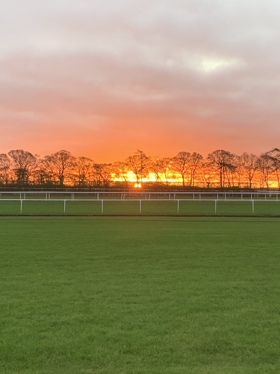 Good morning, lovely sunrise over the gallops this morning