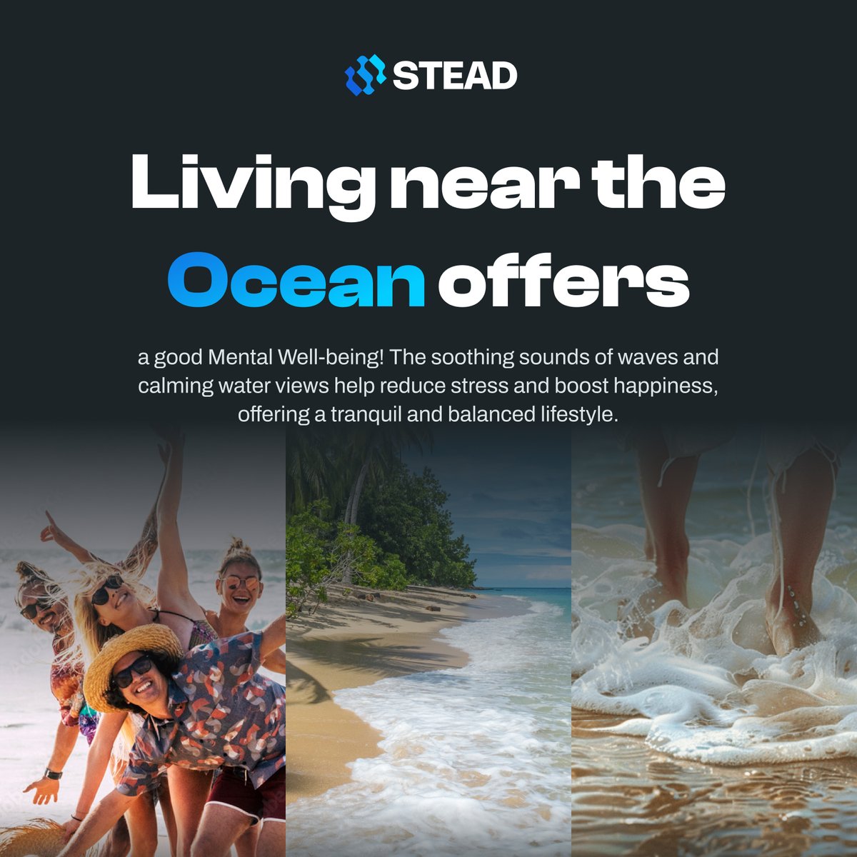 Discover tranquility with STEAD’s floating resorts—where the gentle rhythm of the water eases stress and nurtures happiness.

#STEAD #RWA #DEFI #FloatingResort