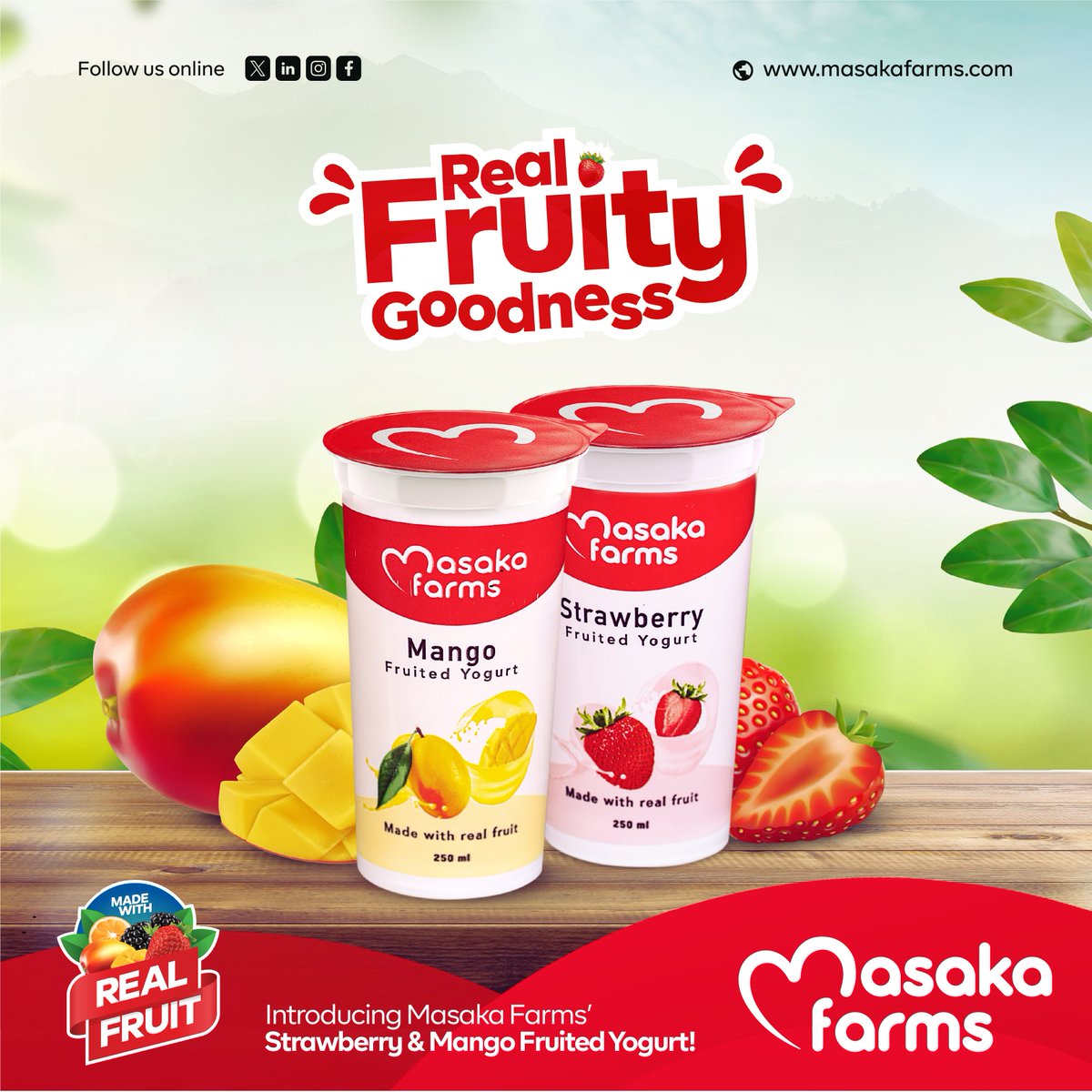 masaka_farms's tweet photo. #RWOX Get ready for a taste explosion! 💥

Introducing Masaka Farms' NEW Fruited Yogurt... 🍓🥭 Made with Real Fruity Goodness, it's a burst of deliciousness in every sip. Perfect for the whole family to enjoy! 👨‍👩‍👧‍👦Call +250 789 911 244 to find a store near you and grab yours today. #RealFruityGoodness #productlaunch #NEW  #snack #fruitedyogurt #realfruit #kigali  #Rwanda #Dairy