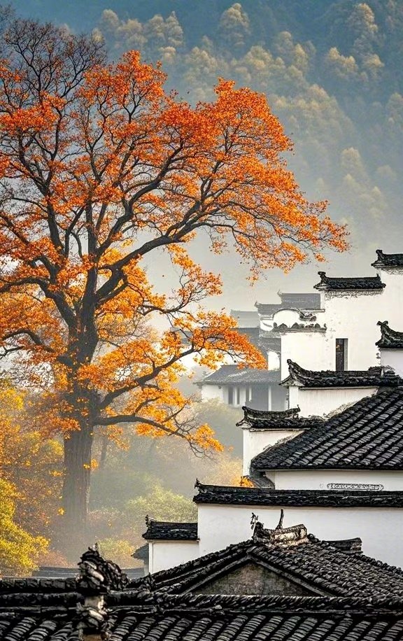 一生痴绝处，无梦到徽州。#互粉