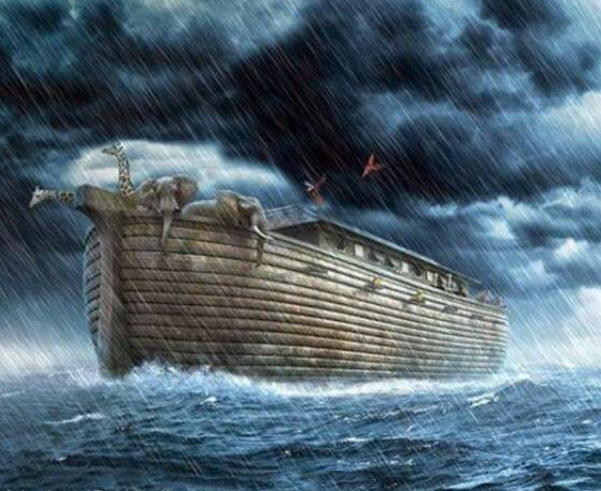 Es Selamünaleyküm 

Yeni Güne Bismillâh
Allah'ın adıyla...
Allah Resûlüne Sâlât ve Selâm olsun...

"İslâm" Nûh'un (a.s.) gemisidir...
Gemiye Binen Kurtulur…
İslam İnsanı Yaşatır.

#karyağışı Allah’ın hikmetidir. 

Emâneti Zâyi Etmeyen Rabb'îme Emanet olunuz...
#HayırlıSabahlar