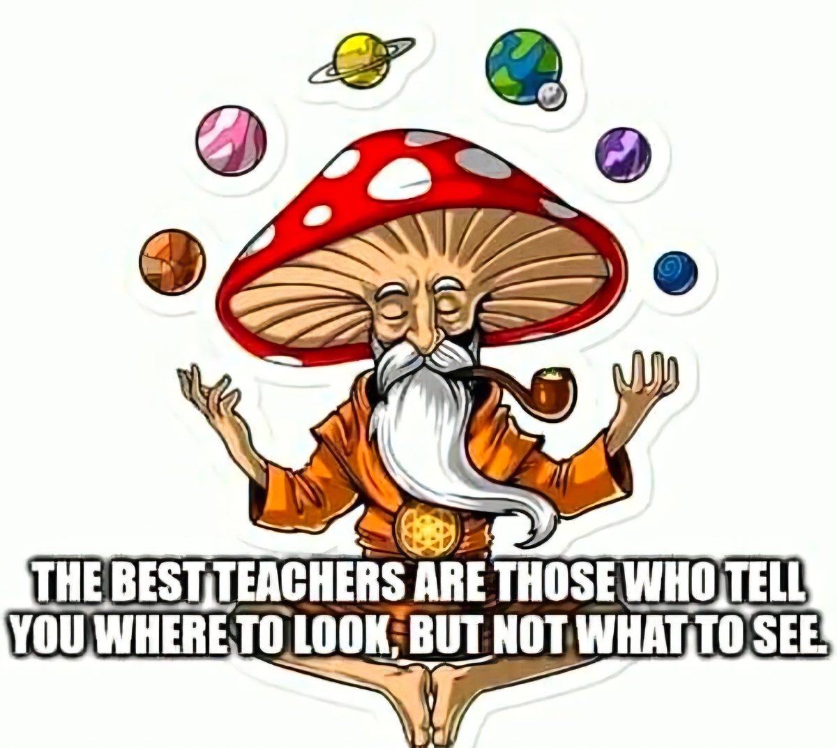 ladiekerrie's tweet image. THE BEST TEACHERS ARE THOSE WHO TELL YOU WHERE TO LOOK, BUT NOT WHAT TO SEE.