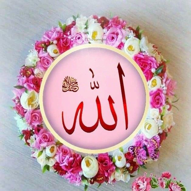 rabbimemeftun's tweet photo. بِسْــــــــــمِ ﷲِالرَّحْمٰنِ الرَّحِيمِ

﷽ 𝕷𝖆 𝖎𝖑𝖆𝖍𝖊 𝖎𝖑𝖑𝖆𝖑𝖑𝖆𝖍﷽

İnsanın ÂLLÂH'tan başka çaresi yok.

Çare ol 
“ ÂLLÂH’ım”
Tüm çaresizliklerimize..

#hayırlısabahlar
#sabahNamazı❤️ https://t.co/PhC8CsC1vg