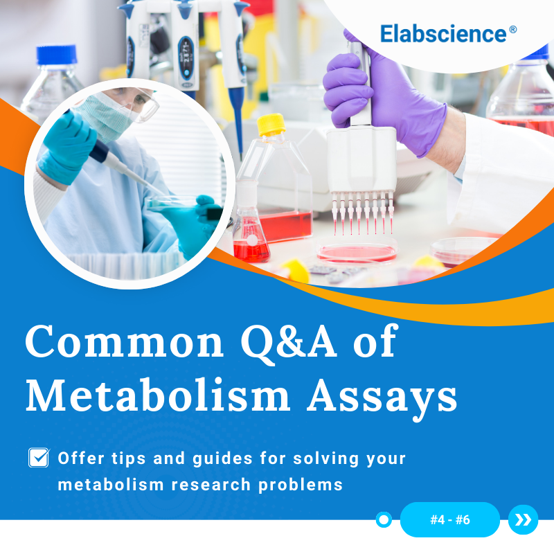 Elabscience Bionovation Inc. tweet media