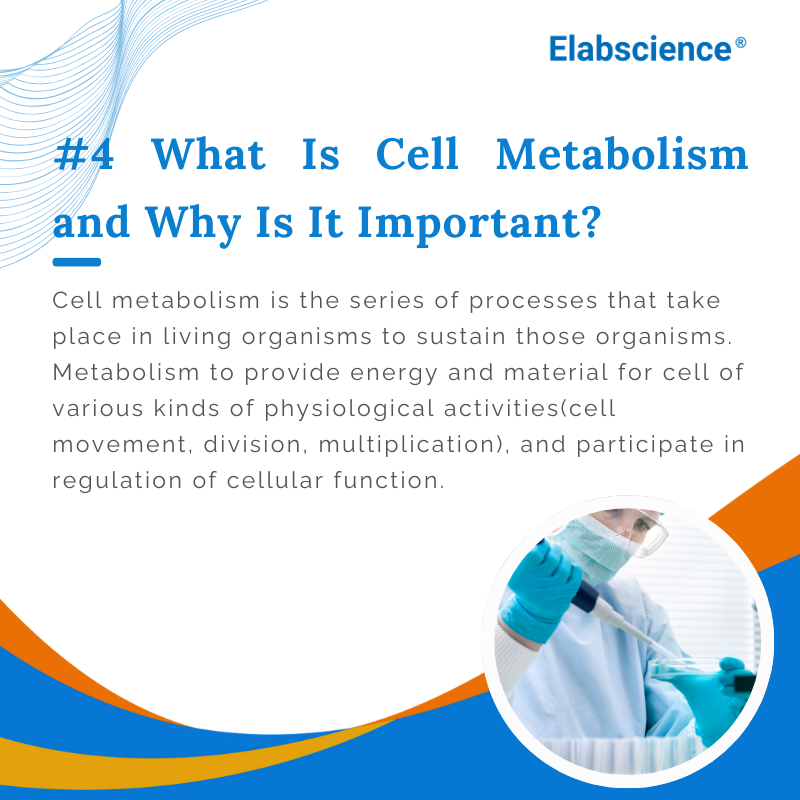 Elabscience Bionovation Inc. tweet media