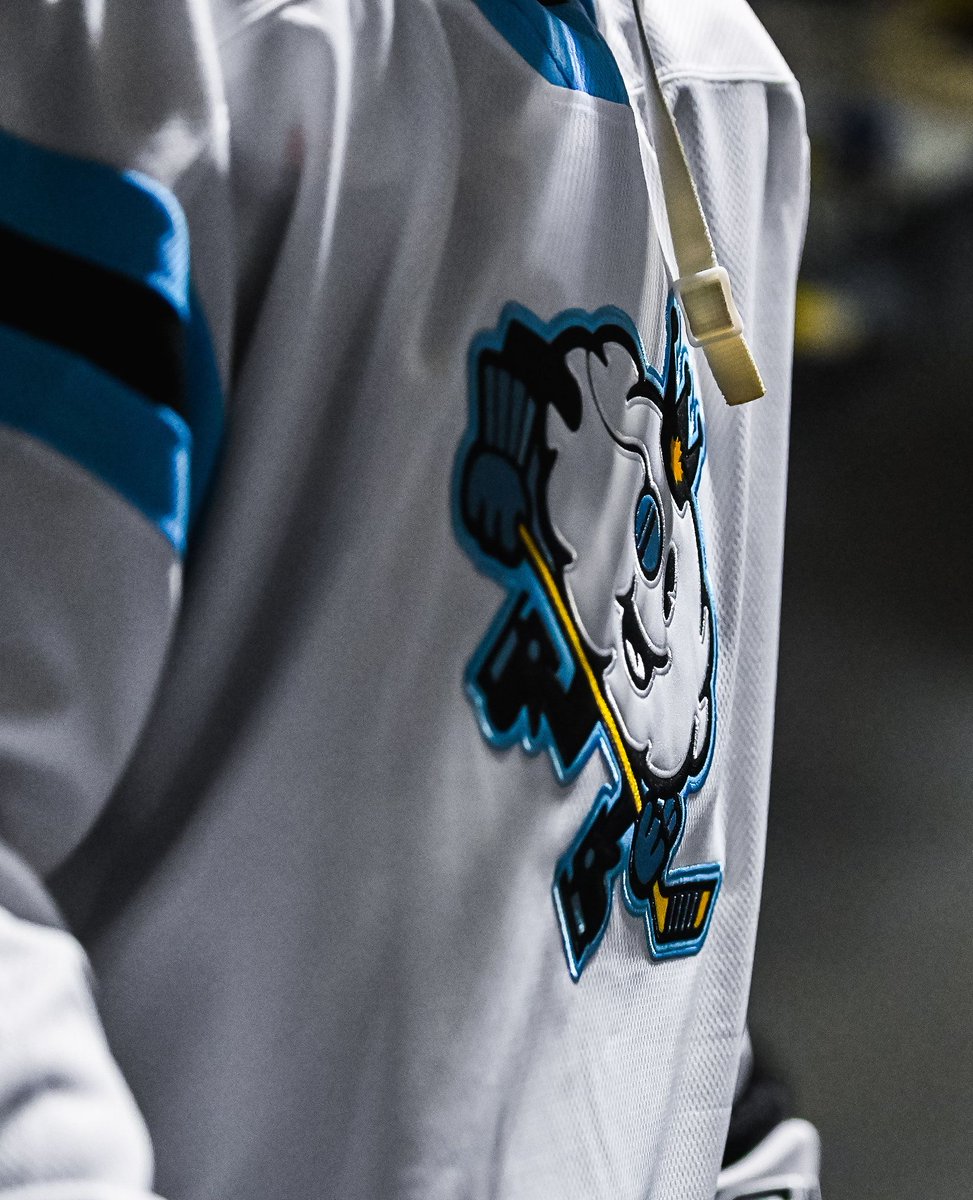 TheAHL's tweet photo. #ReignTrain or #RainTrain?⛈️🚂 https://t.co/W1XFNxnrOS