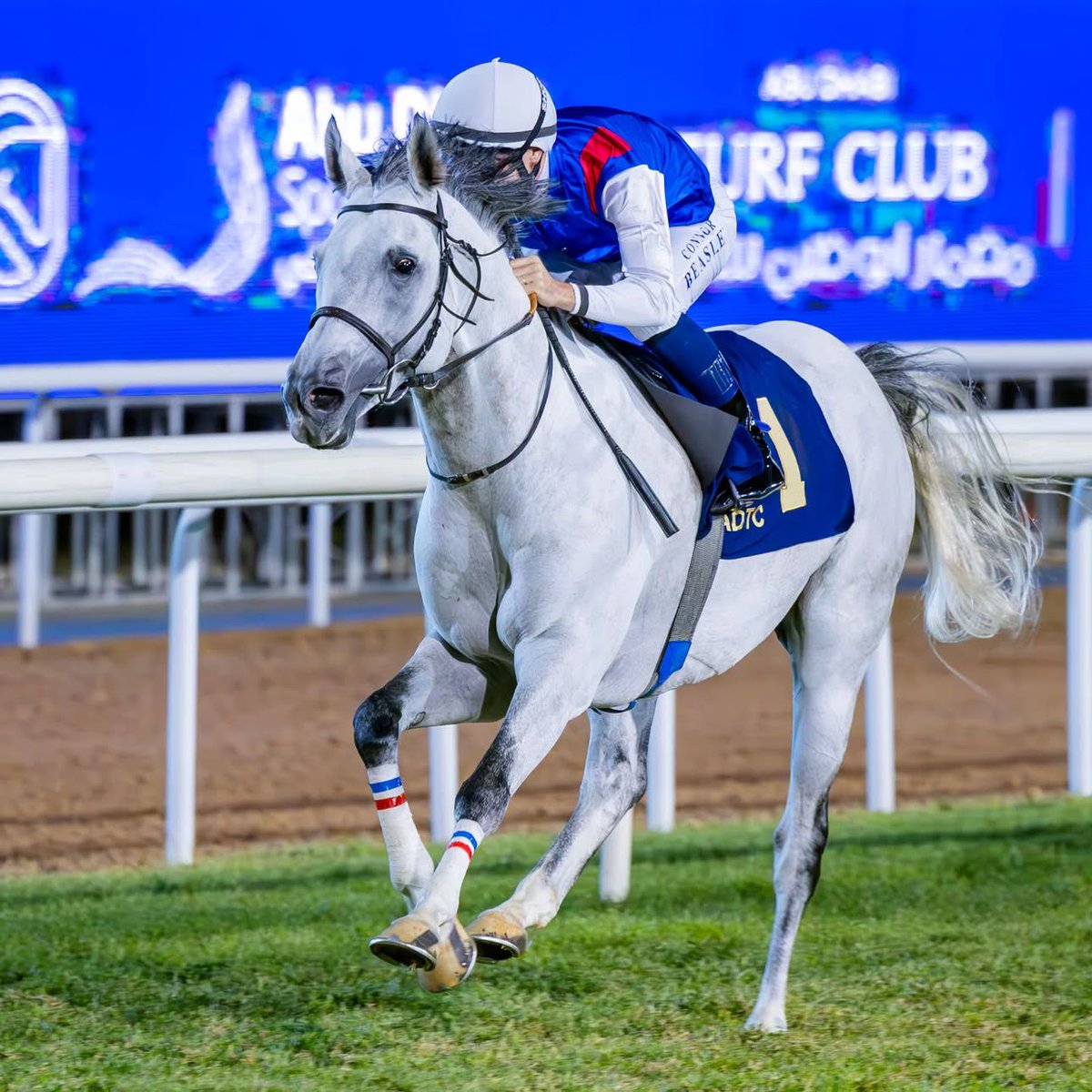 نباركـ لسلطنة عمان  وولاية صـور  ولشيخ ناصر الحشار لفوز حصانه 🐎هيروس ديليجرد في مضمار أبوظبي بكأس رئيس دولة الذي تصل جائزته 838,000 ألف ريال عماني
