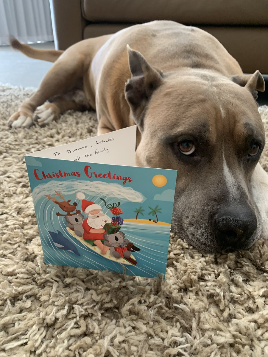 DiannaConstant2's tweet image. Pals, I got my first Christmas card for this year. Thank you to my beautiful cousins, Harriet and Matilda and Aunty D 😘💕@willamhariett