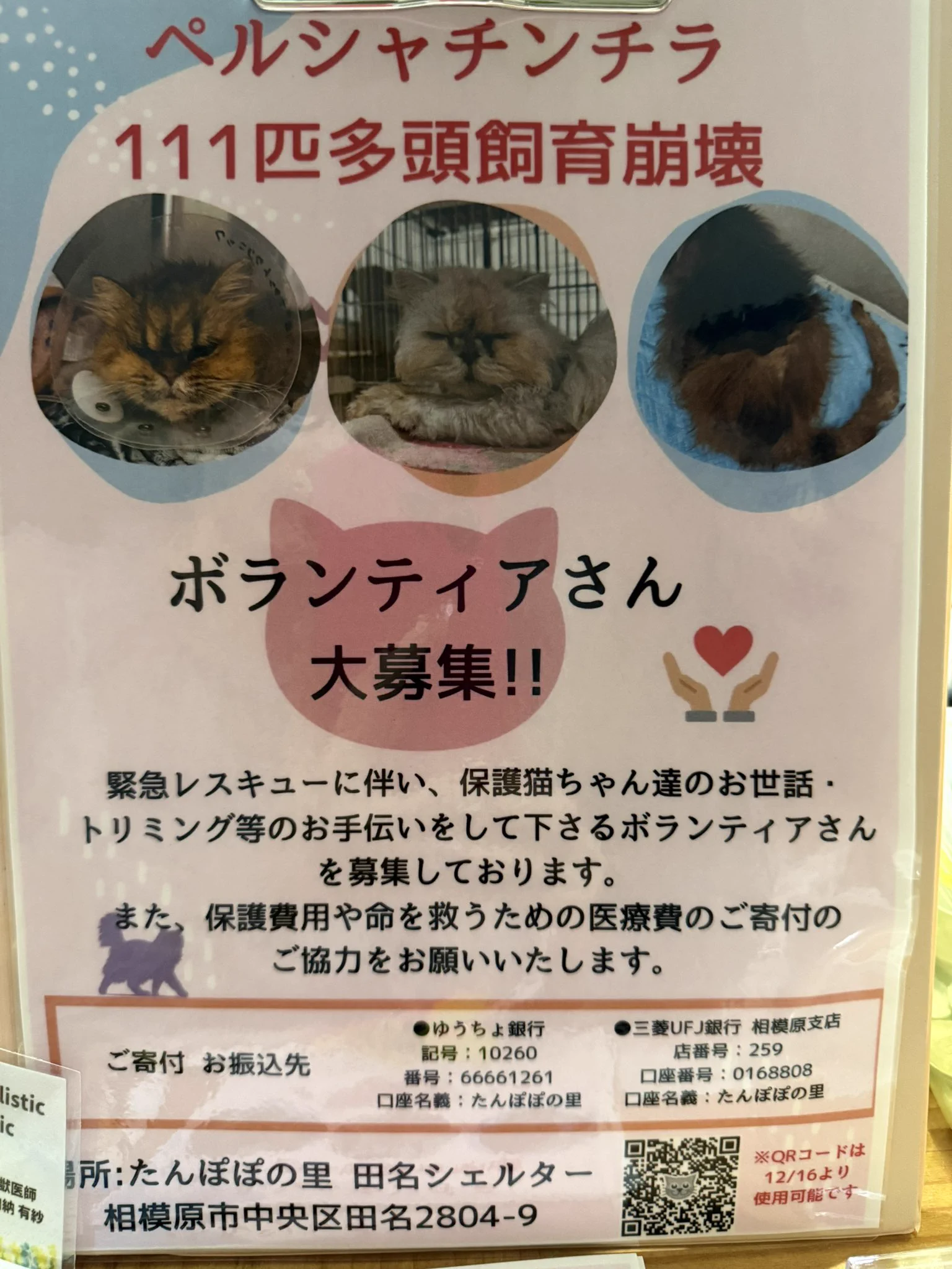 🍉中川翔子🍉🐈‍⬛ on X: 
