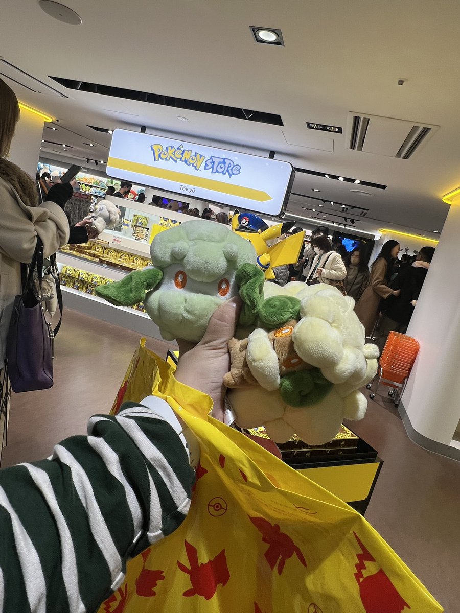 드디어…. 소미안과 엘풍이 만났다…