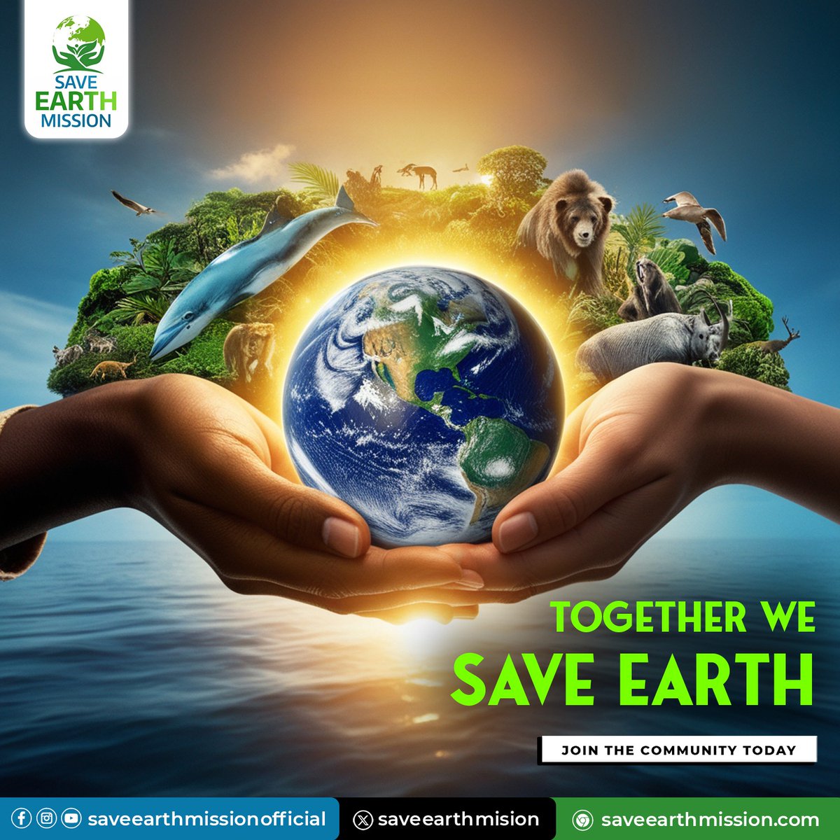 SaveearthMision's tweet photo. Our planet is a shared responsibility. Together, we can protect its beauty and diversity. Act now, save Earth! ๐๐ค
#SaveEarthTogether #ActNow #SaveEarthMission #SustainOurPlanet https://t.co/WNmXBc9rv6