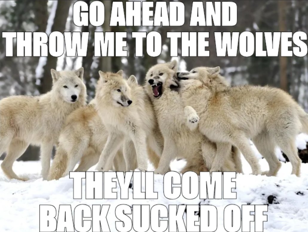 WuffWoff's tweet photo. https://t.co/MzrpWC81BB