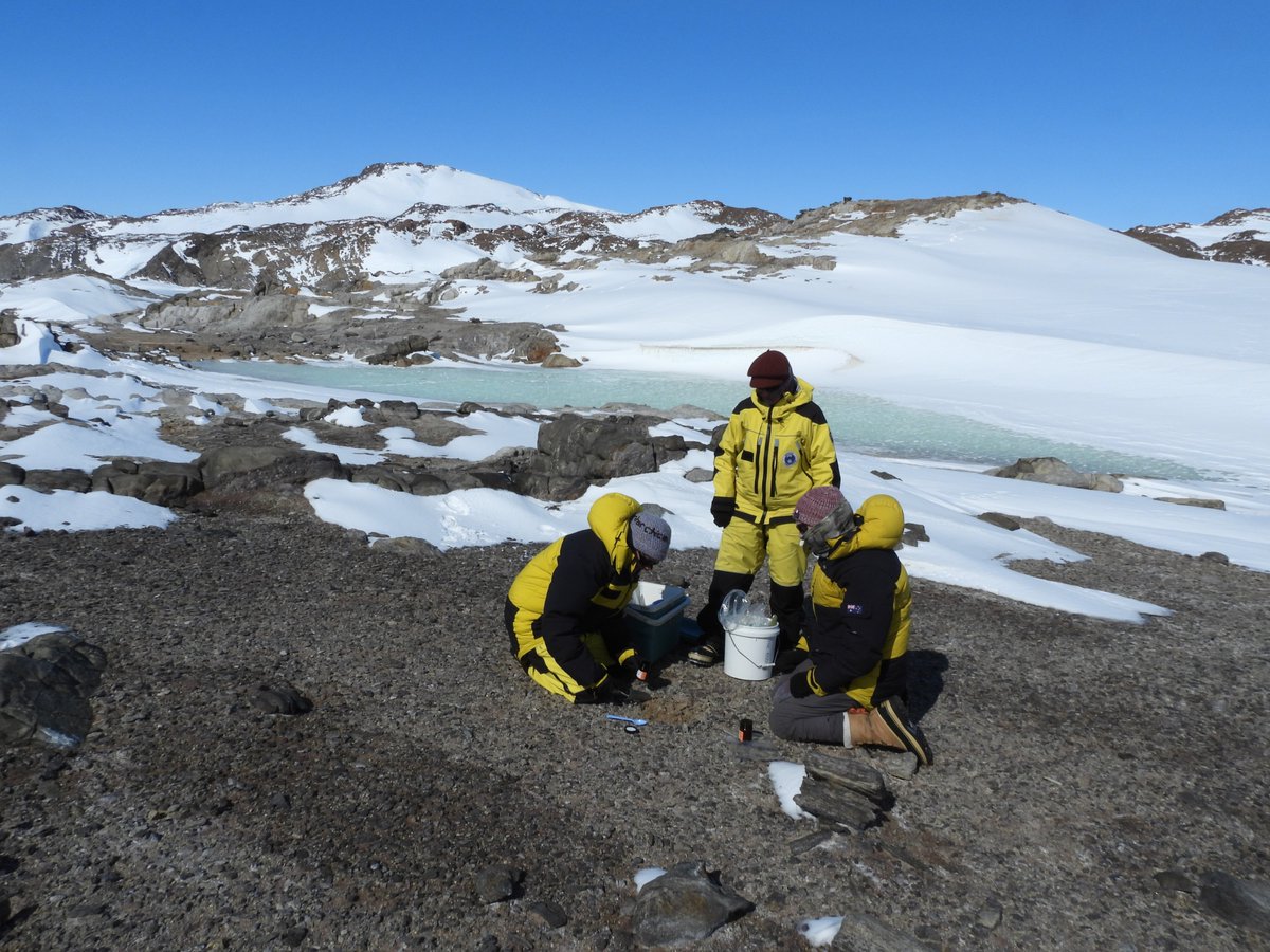 antarctica.gov.au (@ausantarctic) on Twitter photo 🐧Australian Antarctic scientists are using drones, remotely operated vehicles and physical sampling, to complete the first comprehensive biodiversity surveys around Mawson station.
antarctica.gov.au/news/2024/firs…
📷R Manfield, C King, J Davey 🐧Australian Antarctic scientists are using drones, remotely operated vehicles and physical sampling, to complete the first comprehensive biodiversity surveys around Mawson station.
antarctica.gov.au/news/2024/firs…
📷R Manfield, C King, J Davey
