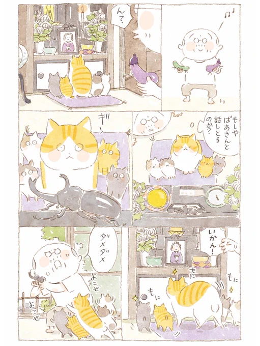 #猫がいる幸せ 