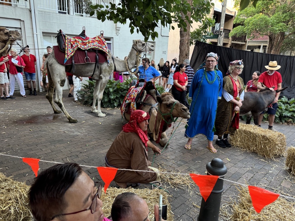 This is one of the most moving things I do all year. In a local park in Ultimo the local church acts out the story of Jesus birth with live animals, etc. Hundreds of people come it’s very real and very moving and very chaotic.