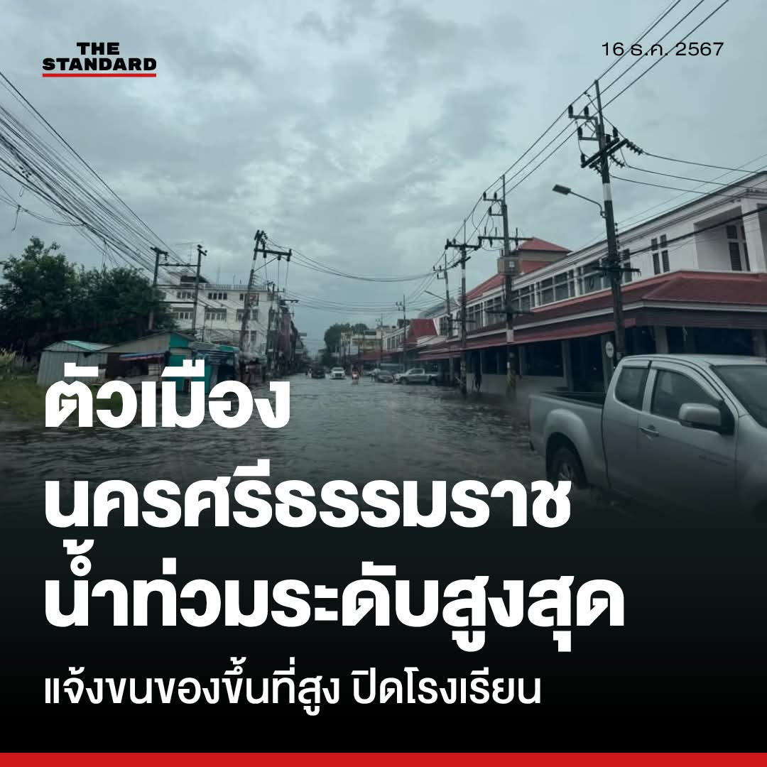 🦖· ˚ ✎ กอ รอ อี นอ ⸝⸝ 🥕กรีน ◡̈🌳 tweet media